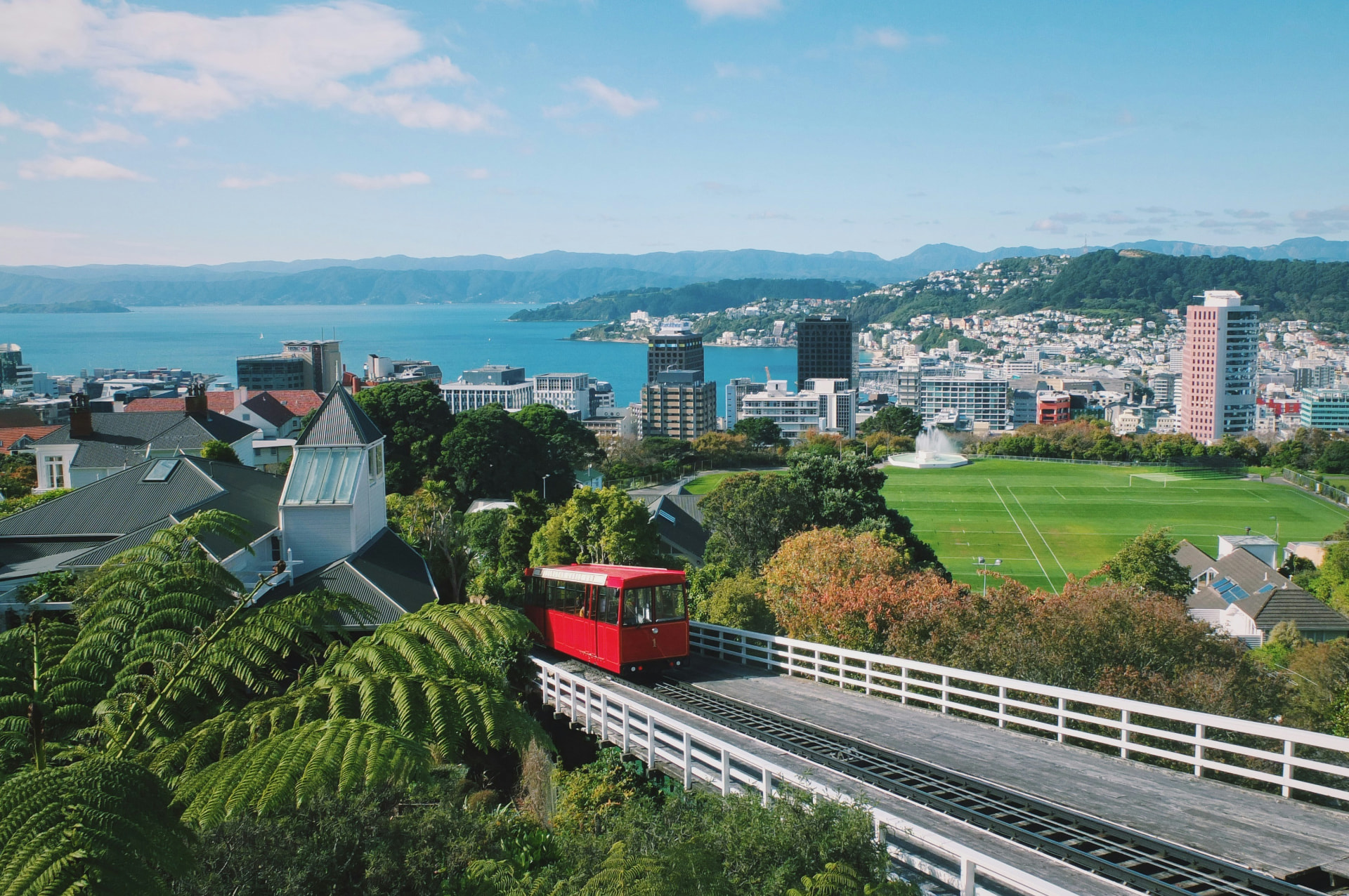 Wellington skyline