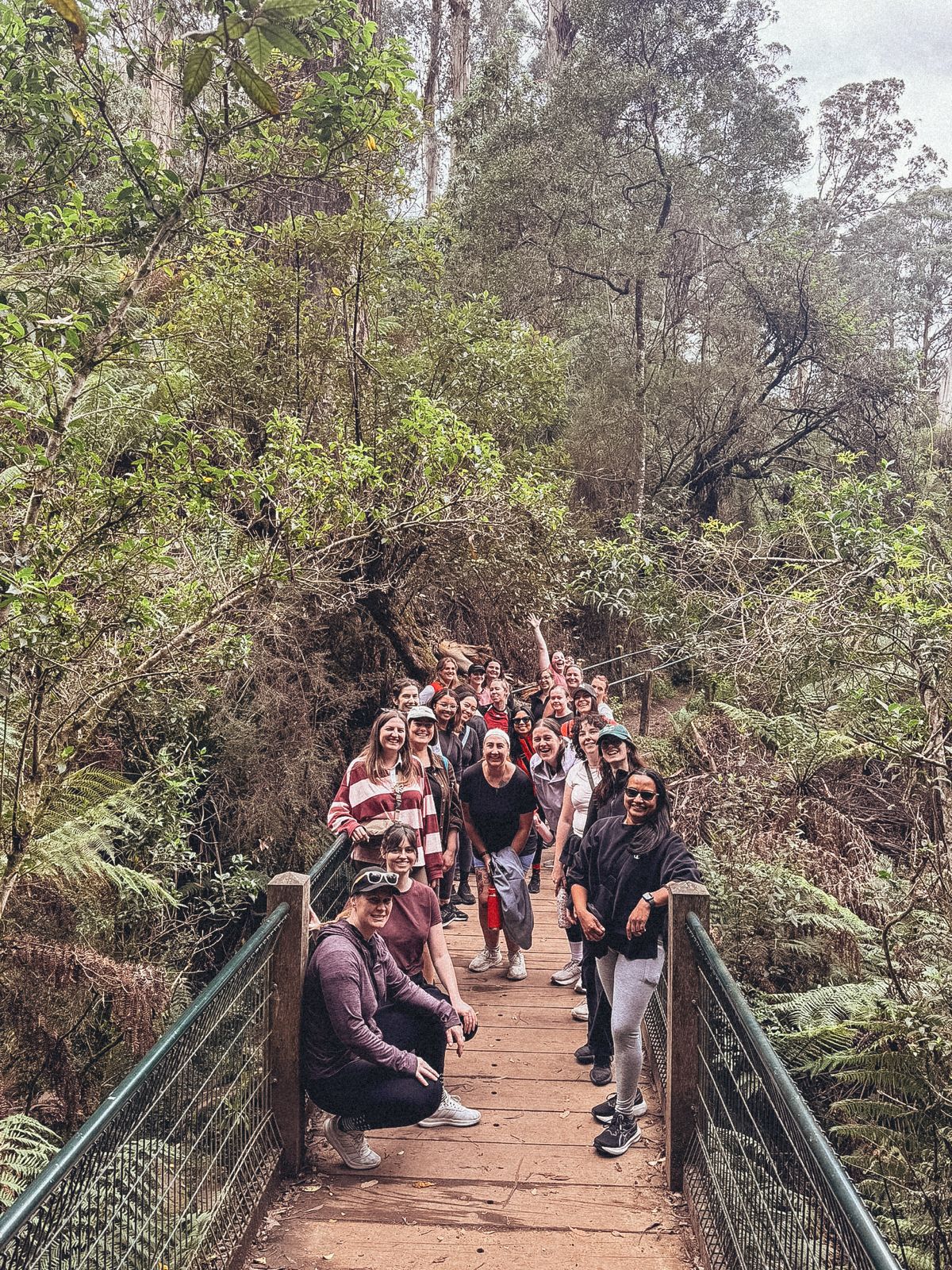 Members on a group walk over a forest bridge